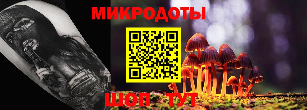 Псилоцибиновые грибы MAGIC MUSHROOMS  Вход с VPN  Кемерово 